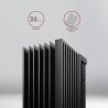 Axagon CLR-M2XL system chłodzenia komputerów M.2 NVMe SSD, Dysk SSD Radiator Czarny 1 szt.