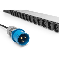Digitus Basic IT PDU, 1-fazowy 16 A, 24 x C13, 3 x C19, kabel zasilający 3 m, wtyczka IEC 60309 16 A