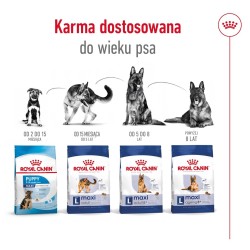 ROYAL CANIN SHN Maxi Adult - sucha karma dla psa dorosłego - 15 kg