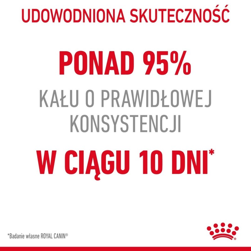 ROYAL CANIN FCN Digestive Care - sucha karma dla kota dorosłego - 4 kg ROYAL CANIN FCN Digestive Care - sucha karma dla kota dorosłego - 4 kg
