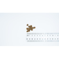 BULT Karma sucha z kaczką i indykiem szczeniąta 3kg