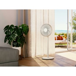 Produkt Finn F-021