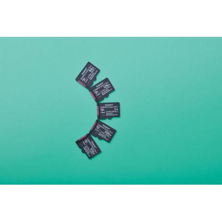 KINGSTON microSDXC 128GB Canvas Select Plus Gen3