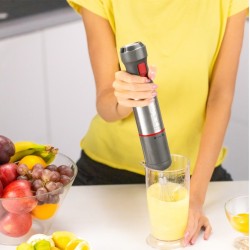 Zelmer ZHB4650 VARIO 0,7 l Blender immersyjny 1400 W Metaliczny, Czerwony