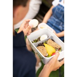 Plastikowy Lunch Box Dinox ZWILLING FRESH & SAVE 36814-502-0 1.6 L