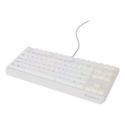 GENESIS Thor 230 TKL klawiatura Gaming USB QWERTY US English Biały