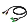 AUDAC CLA832 kabel audio 0,5 m 2 x RCA 2 x Terminal Czarny, Zielony