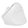 NATEC Crake 2 myszka Uniwersalne Po prawej stronie RF Wireless + Bluetooth Optyczny 2400 DPI