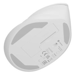 NATEC Crake 2 myszka Uniwersalne Po prawej stronie RF Wireless + Bluetooth Optyczny 2400 DPI
