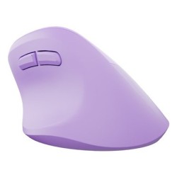 NATEC Crake 2 myszka Uniwersalne Po prawej stronie RF Wireless + Bluetooth Optyczny 2400 DPI