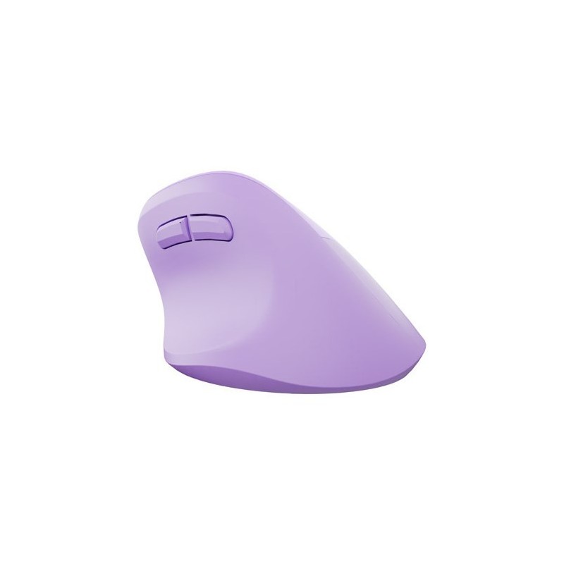 NATEC Crake 2 myszka Uniwersalne Po prawej stronie RF Wireless + Bluetooth Optyczny 2400 DPI
