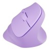 NATEC Crake 2 myszka Uniwersalne Po prawej stronie RF Wireless + Bluetooth Optyczny 2400 DPI