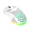 Trust GXT 929 Helox myszka Gaming Po prawej stronie RF Wireless Optyczny 4800 DPI