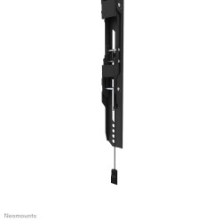 Uchwyt ścienny do telewizora WL30S-850BL14 NEOMOUNTS