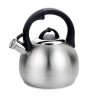 Czajnik nieelektryczny 3,0L MR-1311 MAESTRO