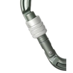Edelrid 737990006630 karabińczyk do wspinaczki Zapięcie z blokadą W kształcie litery D Aluminium Metaliczny 1 szt.
