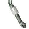 Edelrid 737990006630 karabińczyk do wspinaczki Zapięcie z blokadą W kształcie litery D Aluminium Metaliczny 1 szt.