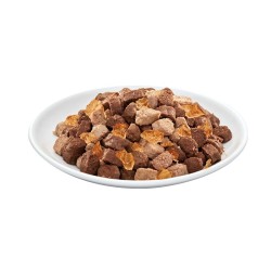 PREVITAL indyk i królik w galaretce dla kotów 100g