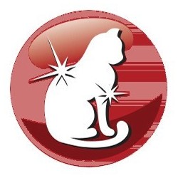 PREVITAL -Z wołowiną karma sucha - Pełnoporcjowa karma dla dorosłych kotów - 1,4kg
