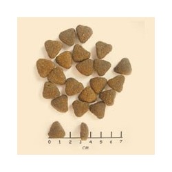 WOLFSBLUT Wide Plain Adult horse/sweet potatos 2kg