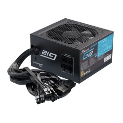 Seasonic Focus Gold 750 moduł zasilaczy 750 W 20+4 pin ATX ATX Czarny
