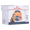 Karma Royal Canin Intense Beauty w sosie 12x85G
