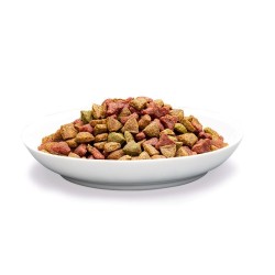 PREVITAL łosoś senior karma sucha dla kotów 1,4kg