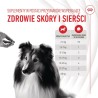 ROYAL CANIN Skin & Coat Adult Dog Supplements 240g
