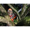 Piła łańcuchowa BLACK+DECKER GKC1825L20-QW