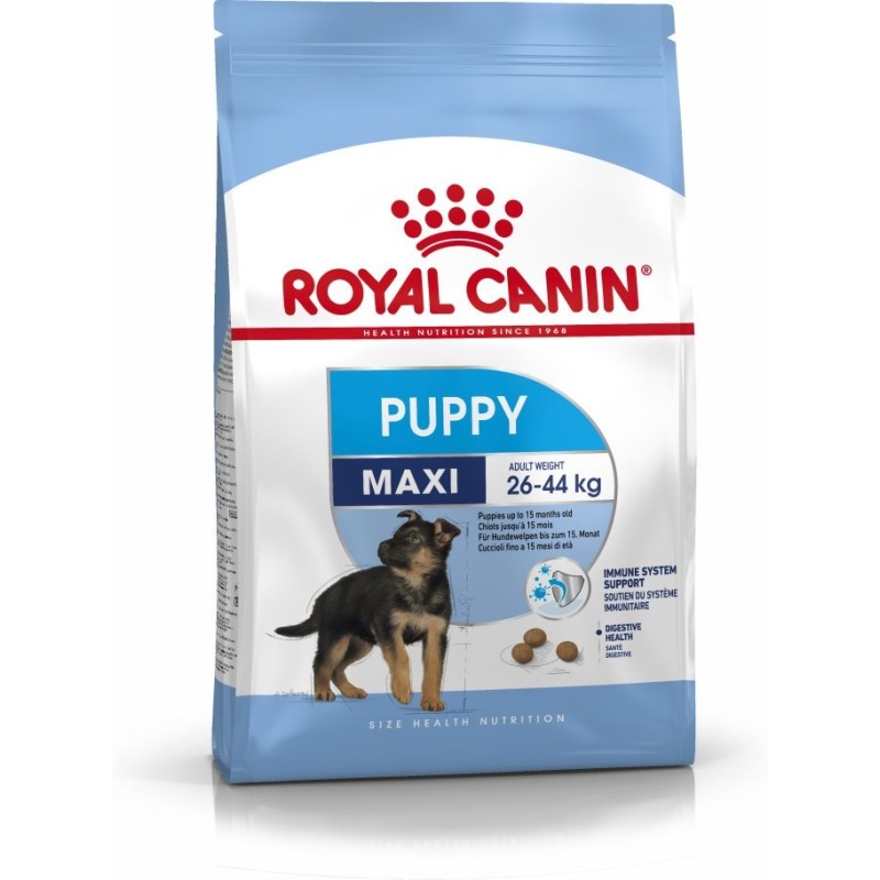 ROYAL CANIN SHN Maxi Puppy - sucha karma dla szczeniąt - 4kg ROYAL CANIN SHN Maxi Puppy - sucha karma dla szczeniąt - 4kg