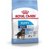 ROYAL CANIN SHN Maxi Puppy - sucha karma dla szczeniąt - 4kg
