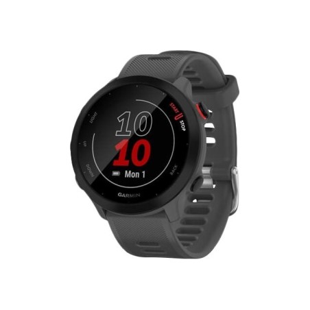 Smartwatch Garmin Forerunner 55 Grey, 010-02562-13