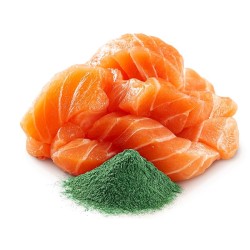 SHELMA saszetka z łososiem i spiruliną dla kota 85g