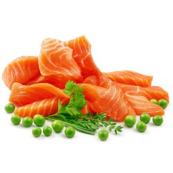 SHELMA karma sucha dla kotów sterylizowanych. Z łososiem 1.4kg