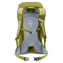 Plecak turystyczny Deuter AC Lite 16 linden-cactus