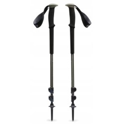 Kije trekkingowe Black Diamond Trail Trekking Poles Pine Smoke