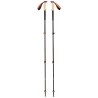 Kije trekkingowe Black Diamond Trail Cork Trekking Poles Fig