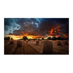 DISPLAY LCD 46" VM46B/LH46VMBUBGBXEN SAMSUNG