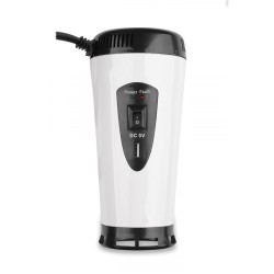 Przetwornica napięcia IPS 300 12/230V (150/300W)