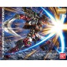 MG 1/100 SENGOKU ASTRAY GUNDAM BL