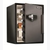 MASTER LOCK LFW205FYC sejf Stal Czarny, Szary