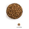 ACANA Puppy Large Breed 17kg