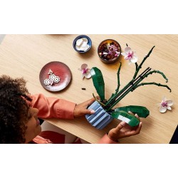 LEGO Icons 10311 Orchidea