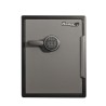 MASTER LOCK LFW205FYC sejf Stal Czarny, Szary