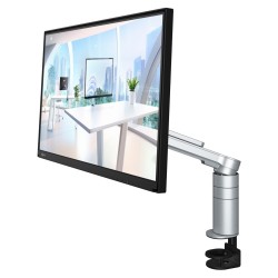 Monitor EIZO 60.5cm (23,8") FLT 16:09 DP+USB-C IPS Schwenkarm black