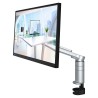 Monitor EIZO 60.5cm (23,8") FLT 16:09 DP+USB-C IPS Schwenkarm black
