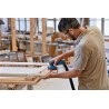 Bosch GEX 12V-125 Professional