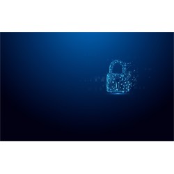 Kingston Technology IronKey Vault Privacy 50 pamięć USB 64 GB USB Typu-A 3.2 Gen 1 (3.1 Gen 1) Czarny, Niebieski