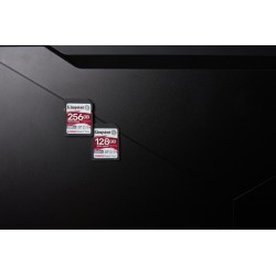 Kingston Technology Canvas React Plus 128 GB SD UHS-II Klasa 10
