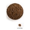 ACANA Wild Prairie Cat - sucha karma dla kota - 1,8 kg